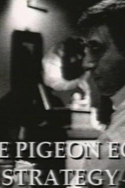 Cubierta de The Pigeon Egg Strategy