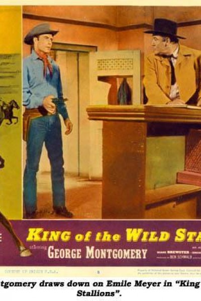 Caratula, cartel, poster o portada de King of the Wild Stallions