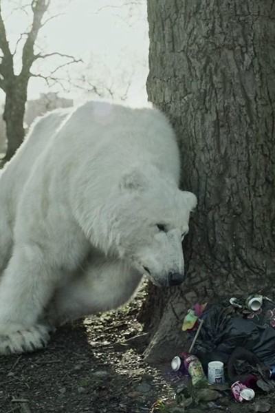 Cubierta de The Homeless Polar Bear