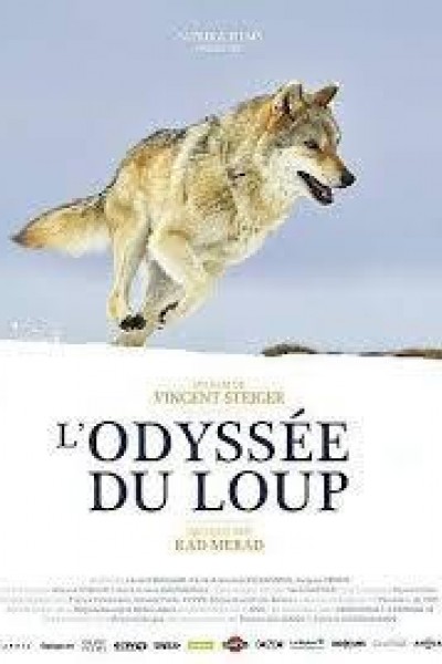 Caratula, cartel, poster o portada de A Wolf\'s Journey