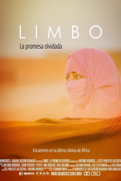 Caratula, cartel, poster o portada de Limbo, la promesa olvidada