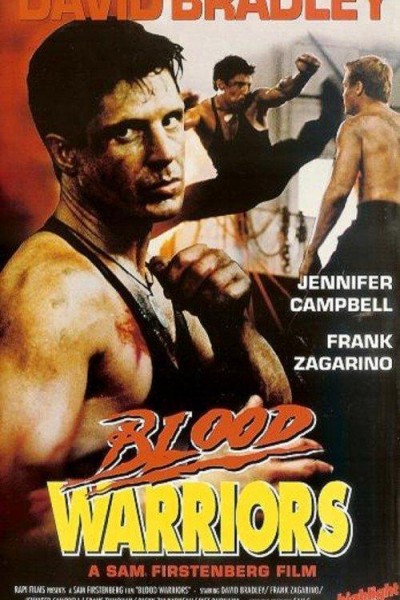 Caratula, cartel, poster o portada de Blood Warriors