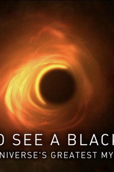 Caratula, cartel, poster o portada de Cómo ver un agujero negro: el mayor misterio del universo