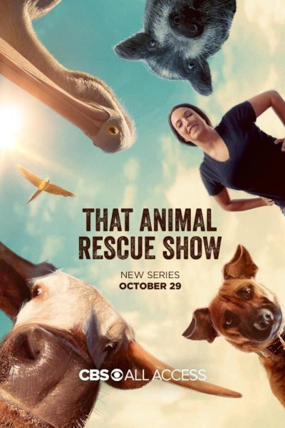 Caratula, cartel, poster o portada de That Animal Rescue Show