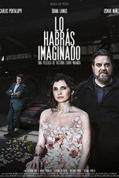 Caratula, cartel, poster o portada de Lo habrás imaginado