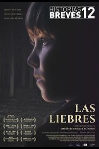 Caratula, cartel, poster o portada de Las liebres
