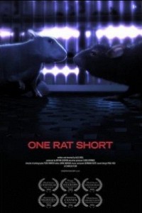 Caratula, cartel, poster o portada de One Rat Short