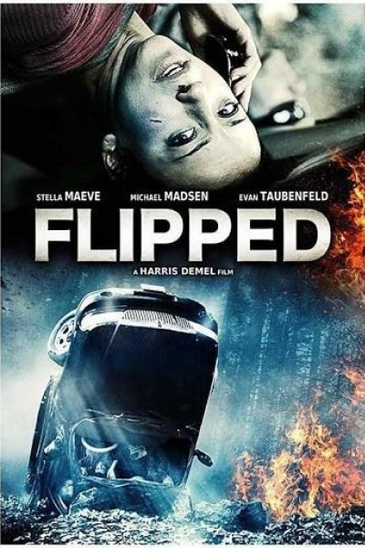 Caratula, cartel, poster o portada de Flipped