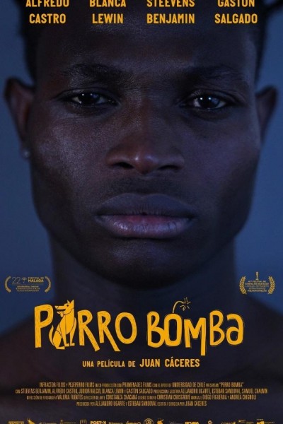 Caratula, cartel, poster o portada de Perro bomba