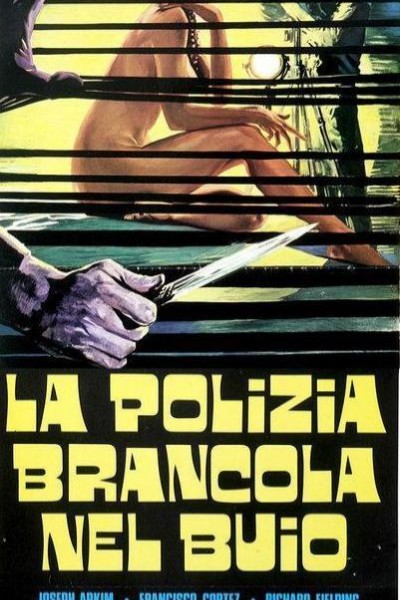 Caratula, cartel, poster o portada de La polizia brancola nel buio