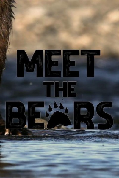 Caratula, cartel, poster o portada de Descubriendo a los osos