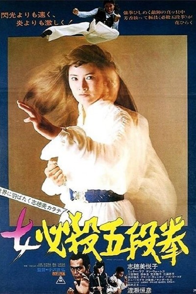 Caratula, cartel, poster o portada de Sister Street Fighter: Fifth Level Fist