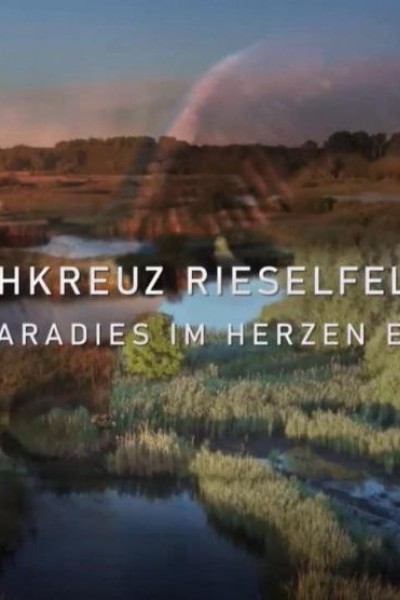 Cubierta de Drehkreuz Rieselfelder: Vogelparadies im Herzen Europas