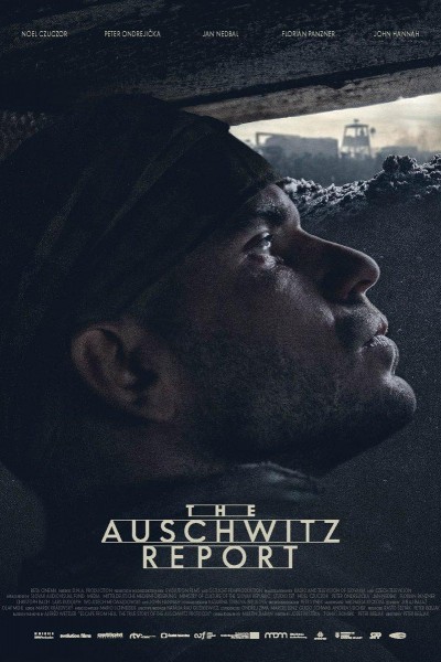 Caratula, cartel, poster o portada de El informe Auschwitz