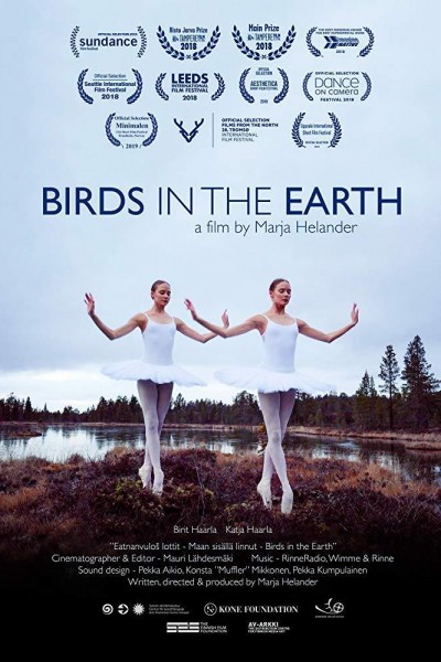 Caratula, cartel, poster o portada de Birds in the Earth