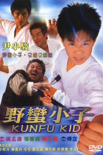 Caratula, cartel, poster o portada de Kung Fu Kid