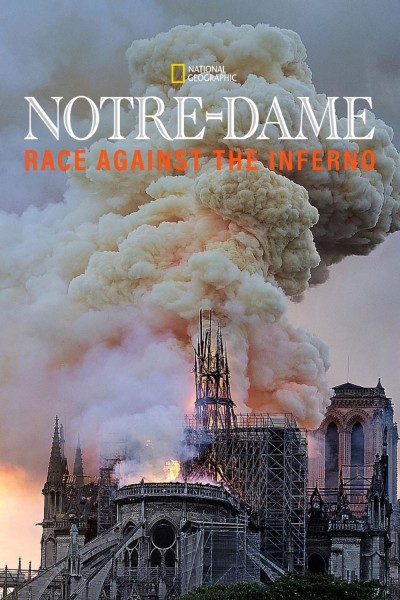 Caratula, cartel, poster o portada de Notre Dame: La increíble carrera contra el infierno