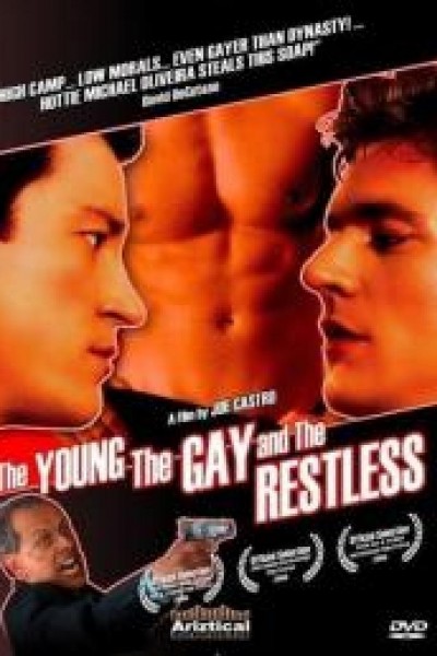 Caratula, cartel, poster o portada de The Young, the Gay and the Restless