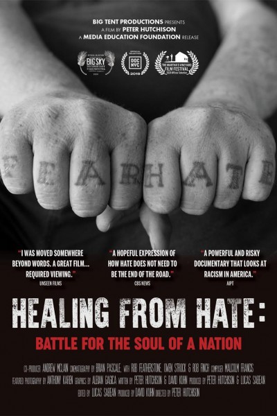 Cubierta de Healing From Hate: Battle for the Soul of a Nation