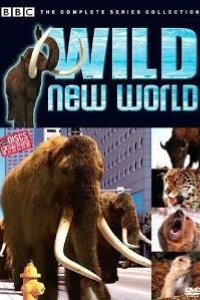 Caratula, cartel, poster o portada de Wild New World