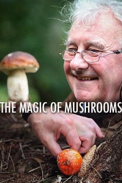 Caratula, cartel, poster o portada de The Magic of Mushrooms