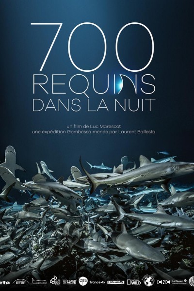 Caratula, cartel, poster o portada de 700 tiburones