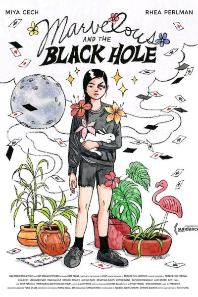 Caratula, cartel, poster o portada de Marvelous and the Black Hole
