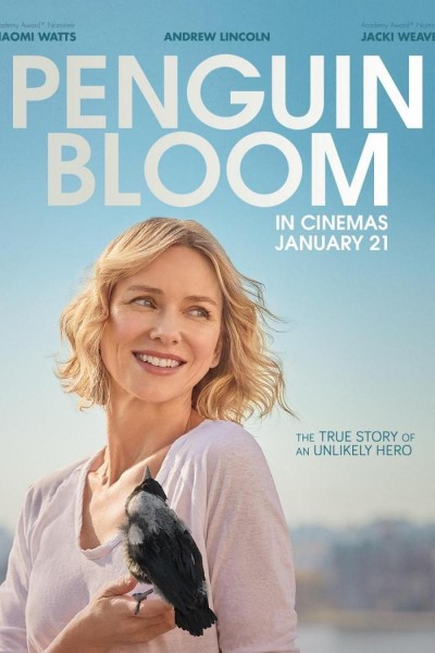 Caratula, cartel, poster o portada de La familia Bloom