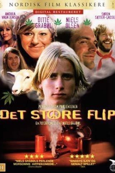 Caratula, cartel, poster o portada de Det store flip