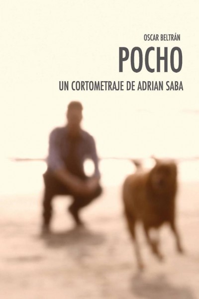 Caratula, cartel, poster o portada de Pocho