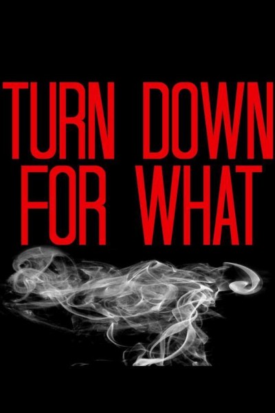 Cubierta de DJ Snake & Lil Jon: Turn Down for What (Vídeo musical)
