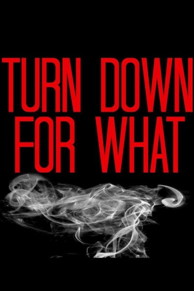 Cubierta de DJ Snake & Lil Jon: Turn Down for What