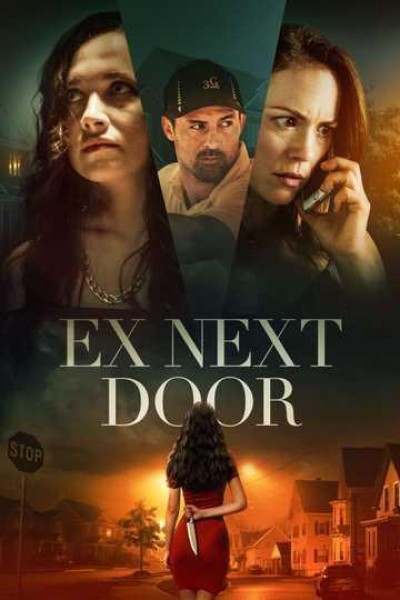 Caratula, cartel, poster o portada de The Ex Next Door