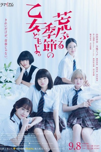 Caratula, cartel, poster o portada de O Maidens in Your Savage Season