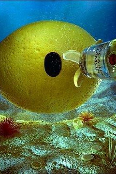 Cubierta de Bacardi Submarine