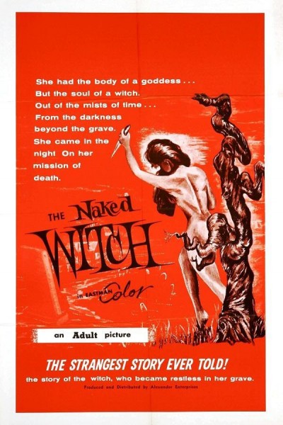 Cubierta de The Naked Witch