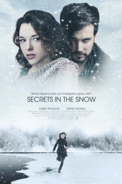 Caratula, cartel, poster o portada de Secrets in the Snow