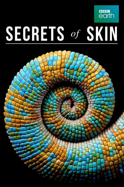 Cubierta de Los secretos de la piel
