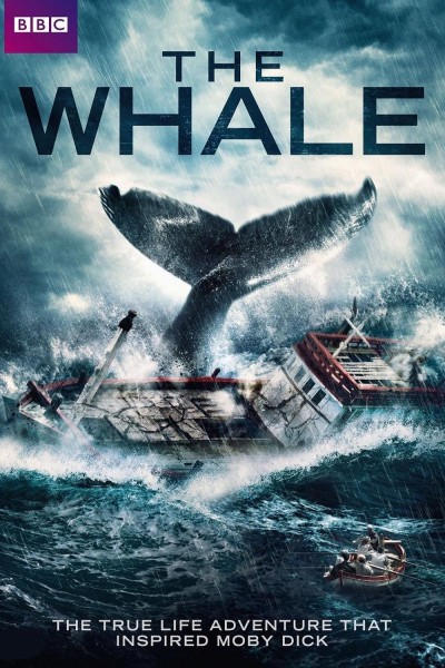 Caratula, cartel, poster o portada de The Whale