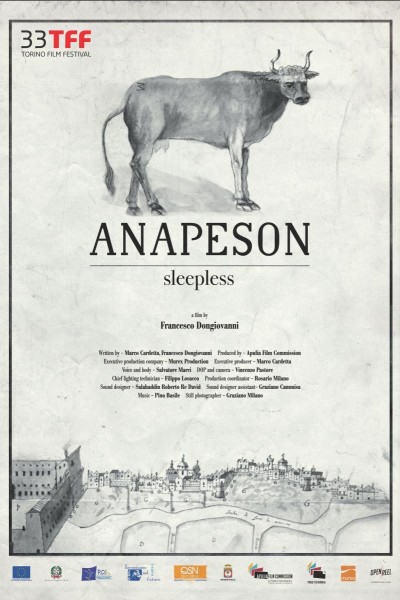 Cubierta de Anapeson