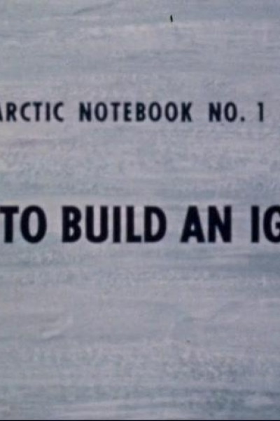 Caratula, cartel, poster o portada de How to Build an Igloo