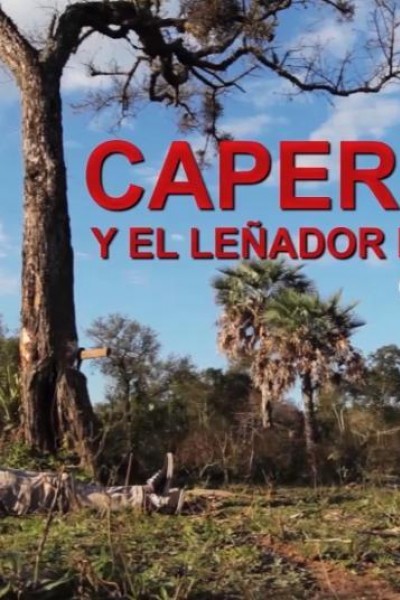 Cubierta de Caperucita y el Leñador en el monte: Después del final feliz