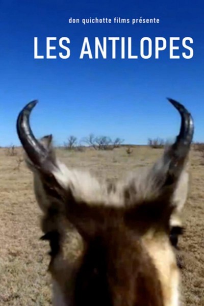 Caratula, cartel, poster o portada de Les Antilopes