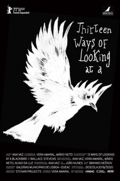 Cubierta de 13 Ways of Looking at a Blackbird