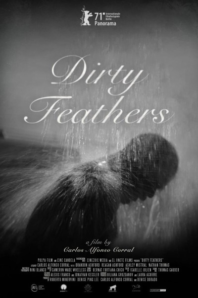 Caratula, cartel, poster o portada de Dirty Feathers