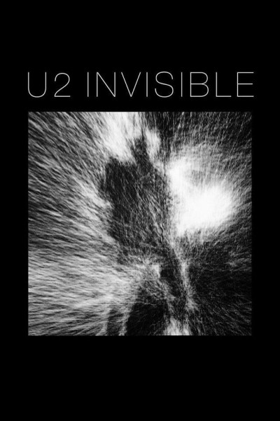 Cubierta de U2: Invisible (Vídeo musical)