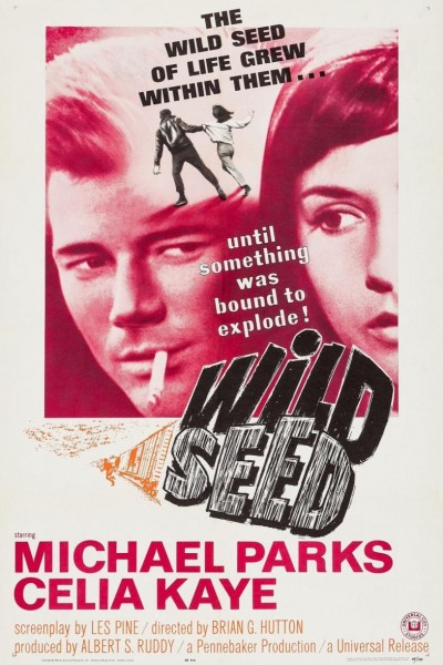 Caratula, cartel, poster o portada de Wild Seed
