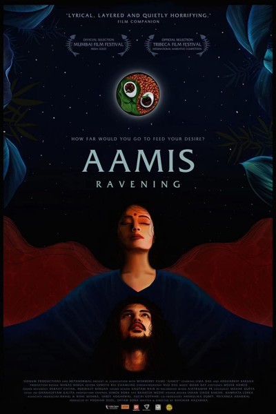 Caratula, cartel, poster o portada de Aamis