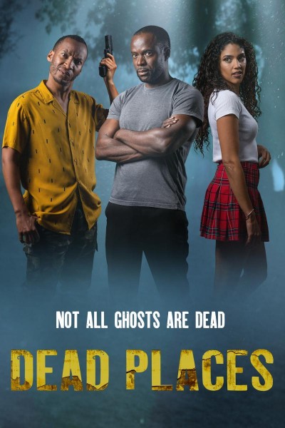 Caratula, cartel, poster o portada de Dead Places