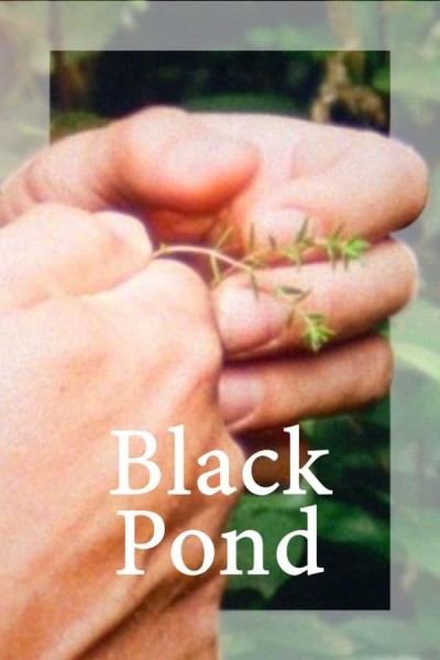 Caratula, cartel, poster o portada de Black Pond